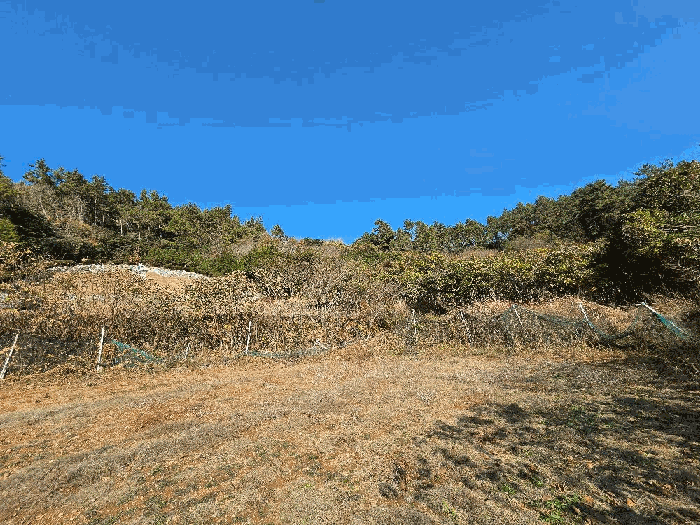 전라남도 완도군 노화읍 충도리 209-2