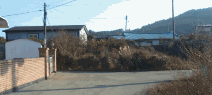 전라남도 완도군 신지면 월양리 281 외 2 필지