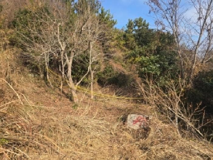 전라남도 완도군 청산면 상동리 산28