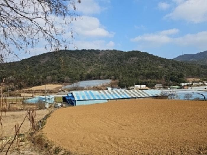 전라남도 해남군 화원면 후산리 산274 외 1 필지
