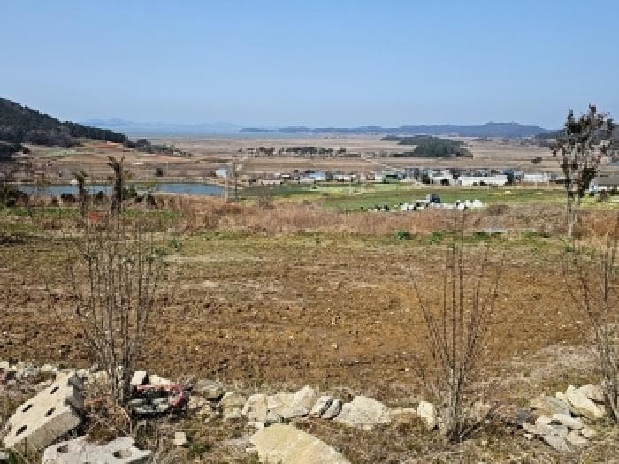 전라남도 해남군 산이면 금호리 526