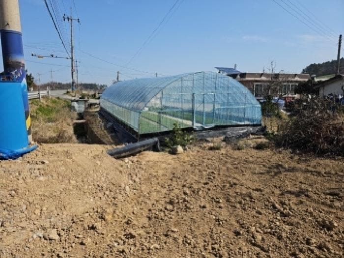 전라남도 진도군 군내면 녹진리 173-3
