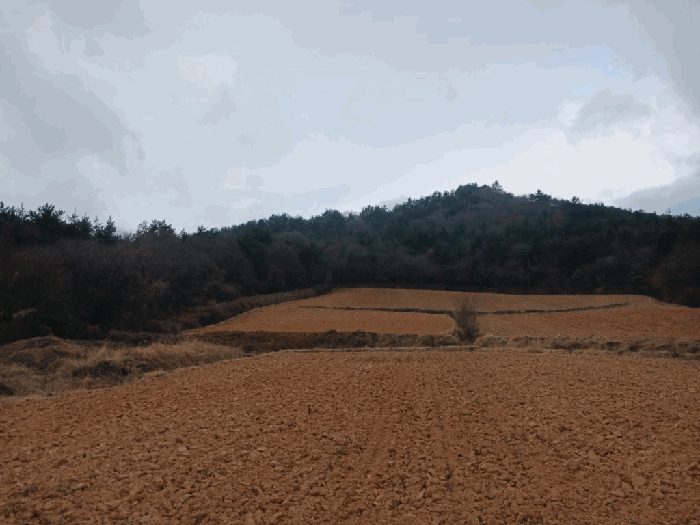 전라남도 해남군 북일면 만수리 산31