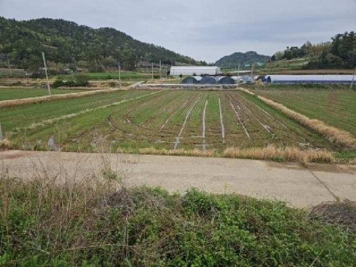 전라남도 진도군 지산면 보전리 1241-2