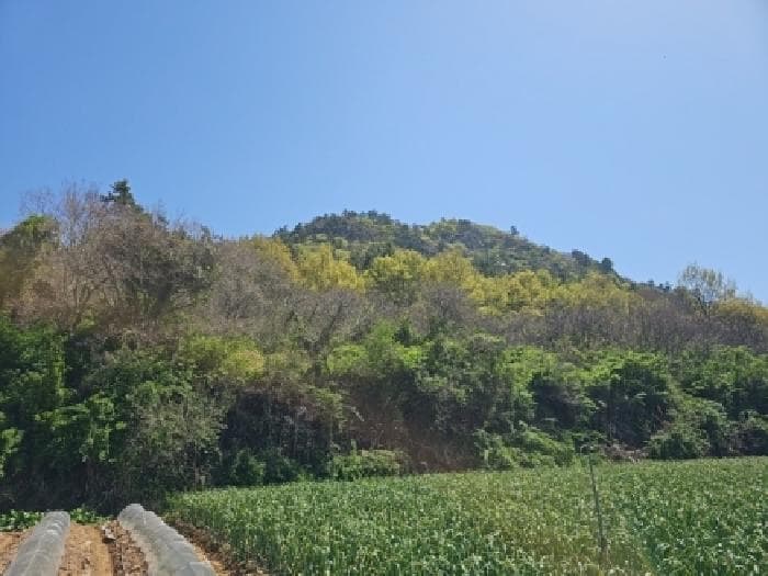 전라남도 해남군 현산면 초호리 산15