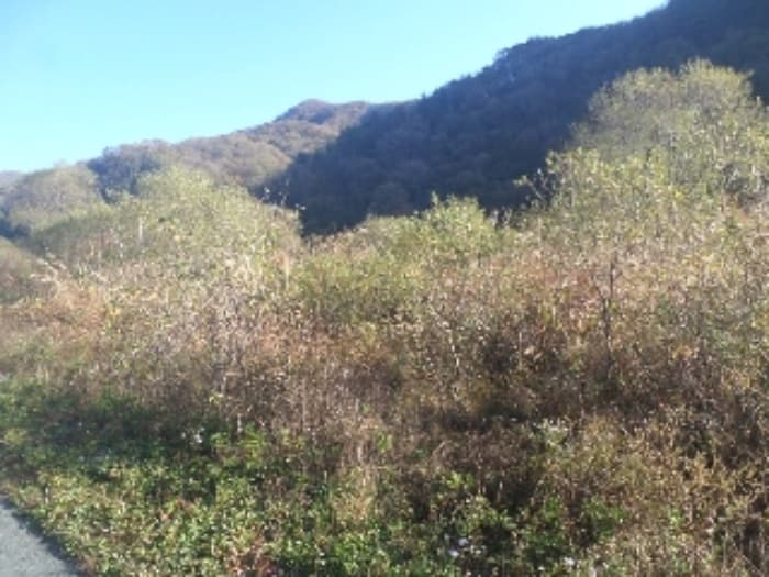 전북특별자치도 임실군 관촌면 회봉리 320-2