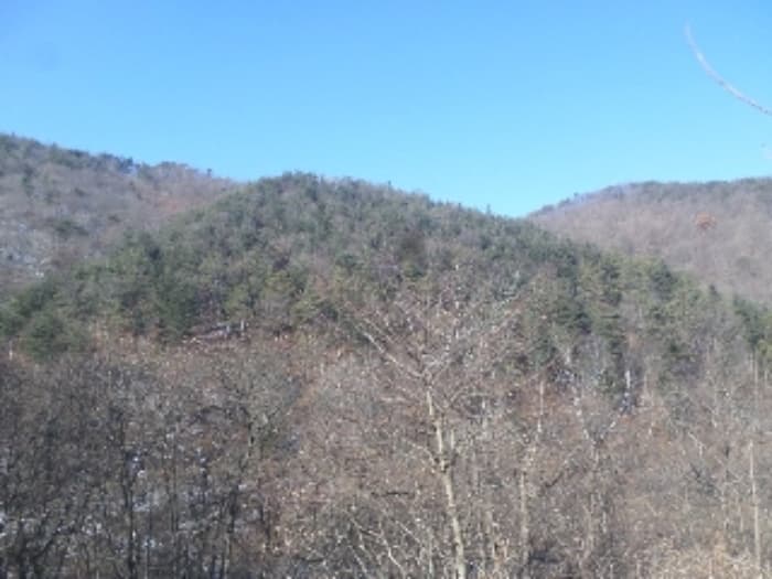 전북특별자치도 임실군 성수면 오봉리 산82