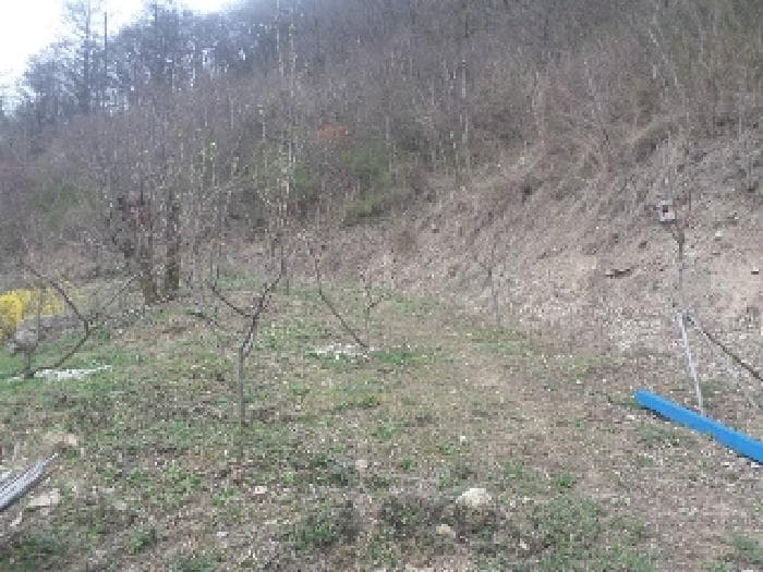 전북특별자치도 완주군 구이면 계곡리 산127