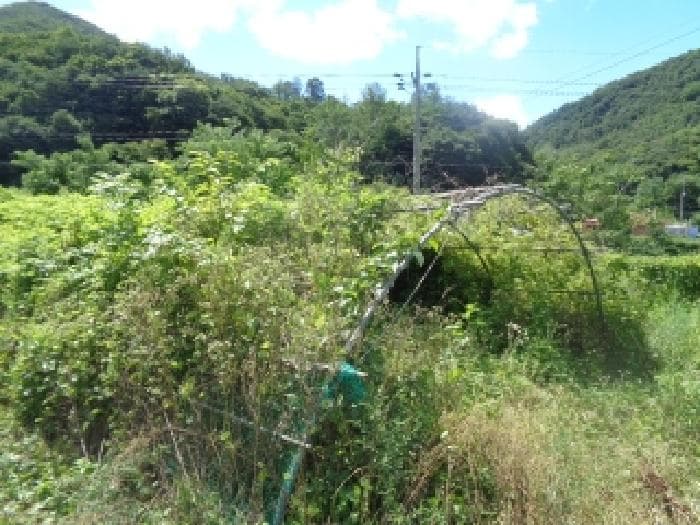 전북특별자치도 완주군 운주면 산북리 128 외 4 필지