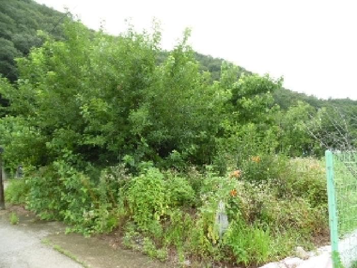 전북특별자치도 전주시 완산구 색장동 822