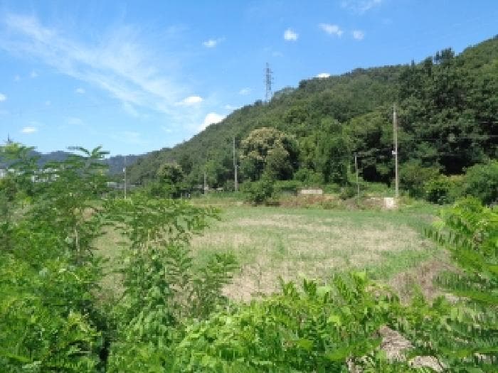 전북특별자치도 전주시 완산구 색장동 382-2 외 1 필지
