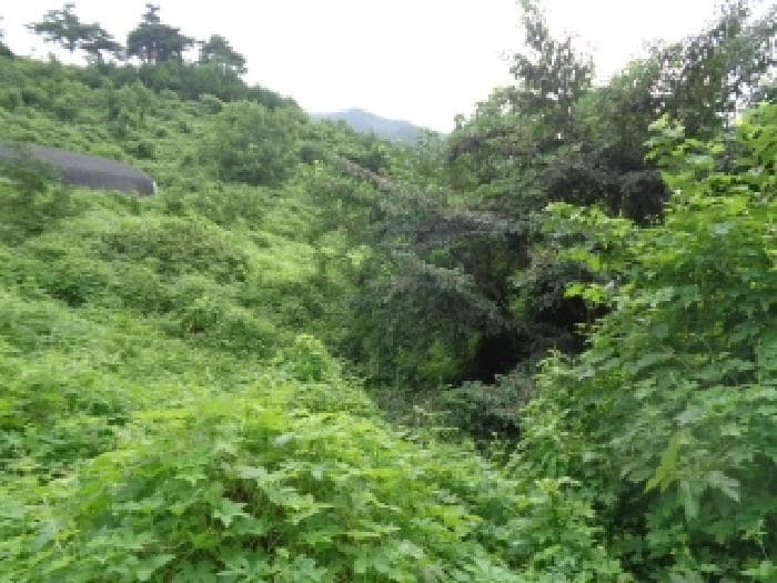 전북특별자치도 무주군 무풍면 금평리 산39-1
