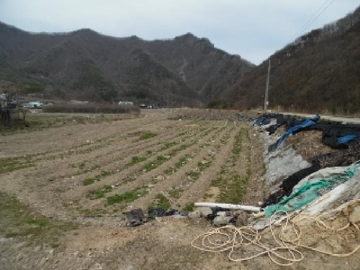 전북특별자치도 진안군 주천면 대불리 254