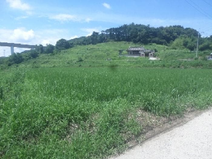 전북특별자치도 임실군 오수면 둔덕리 290-1