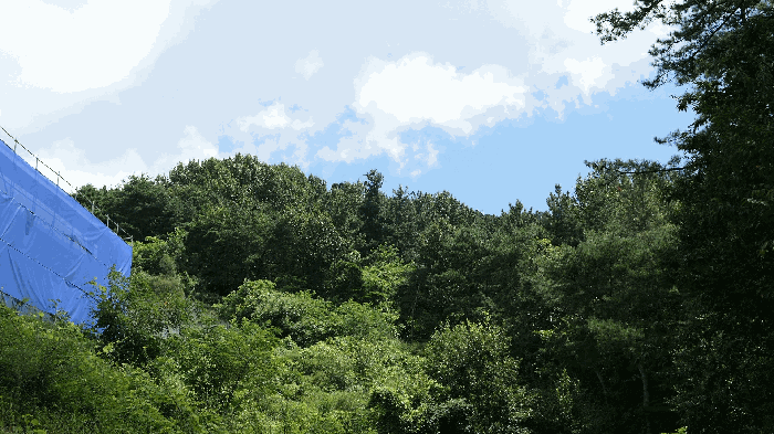 전북특별자치도 전주시 완산구 석구동 산177-4