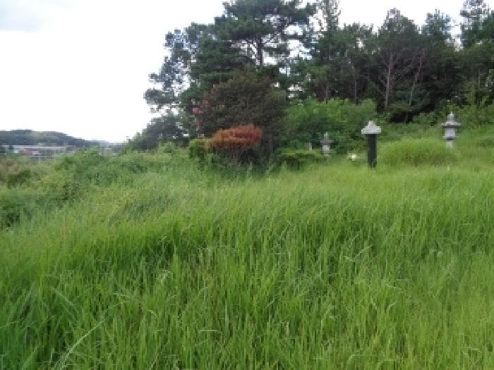 전북특별자치도 완주군 용진읍 용흥리 490-1