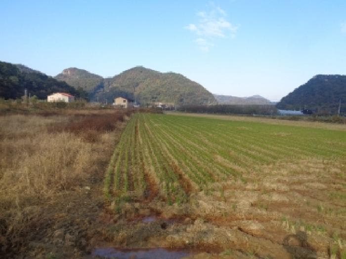 전북특별자치도 완주군 경천면 경천리 491