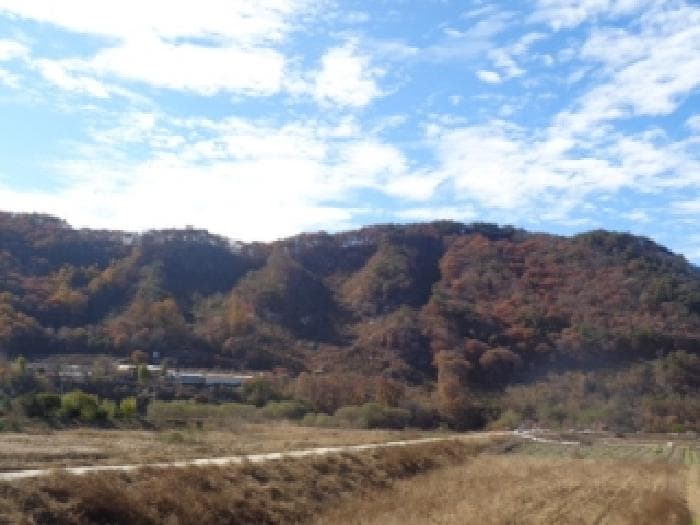 전북특별자치도 진안군 동향면 성산리 산17 외 2 필지