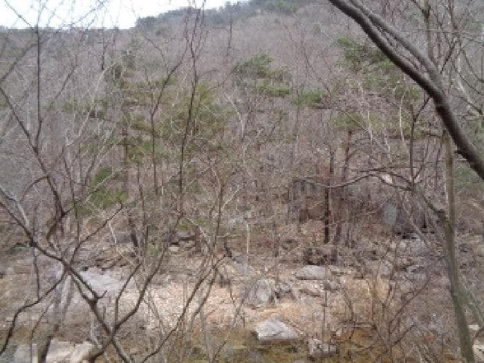 전북특별자치도 완주군 동상면 신월리 산54-9