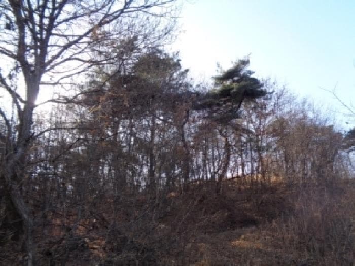 전북특별자치도 완주군 이서면 상개리 산54