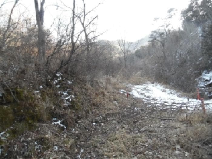 전북특별자치도 무주군 무주읍 당산리 440 외 1 필지