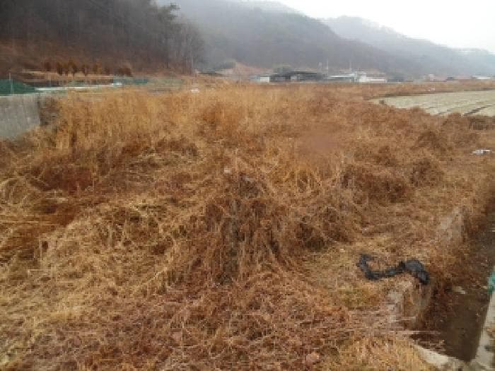 전북특별자치도 완주군 화산면 우월리 362-1 2호 외 2 필지 외 1개 동