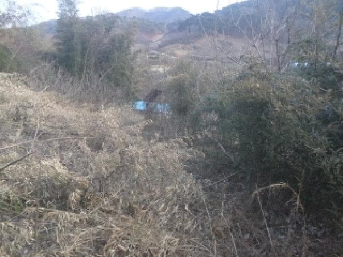 전북특별자치도 임실군 청웅면 두복리 271-1