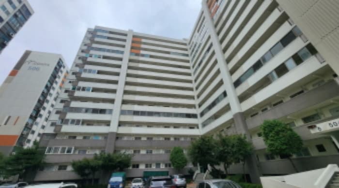 전북특별자치도 군산시 백토로 117-0, 504동 6층 605호 (나운동,군산나운주공5단지아파트)