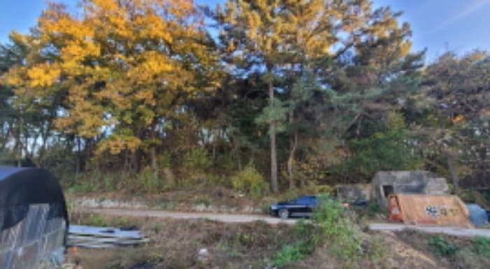 전북특별자치도 익산시 용동면 대조리 산208 외 1 필지
