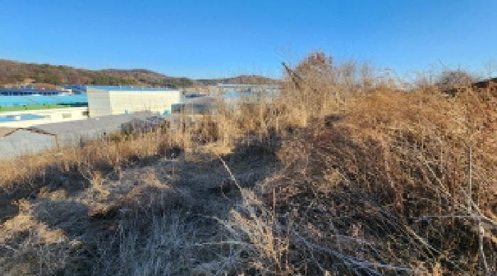 전북특별자치도 군산시 성산면 고봉리 55-2 외 4 필지