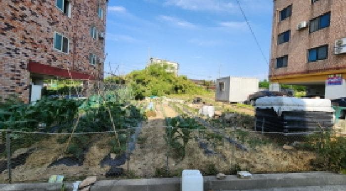 전북특별자치도 군산시 오식도동 679-6