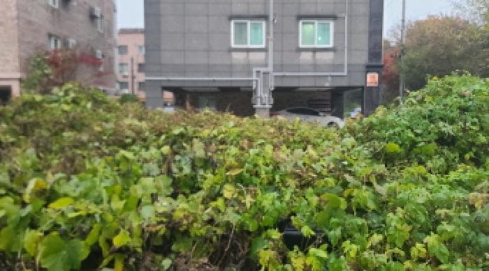 전북특별자치도 군산시 오식도동 646-7