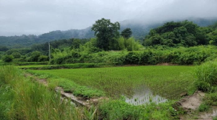 전북특별자치도 익산시 금마면 산북리 200-2 외 2 필지