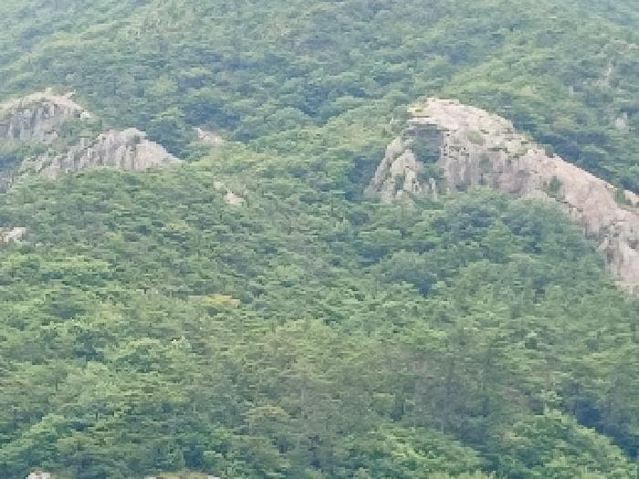 전북특별자치도 군산시 옥도면 신시도리 산5-113 외 3 필지