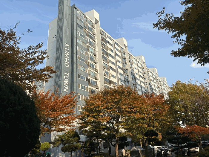 전북특별자치도 군산시 나운동 489 금호 104동 3층308호