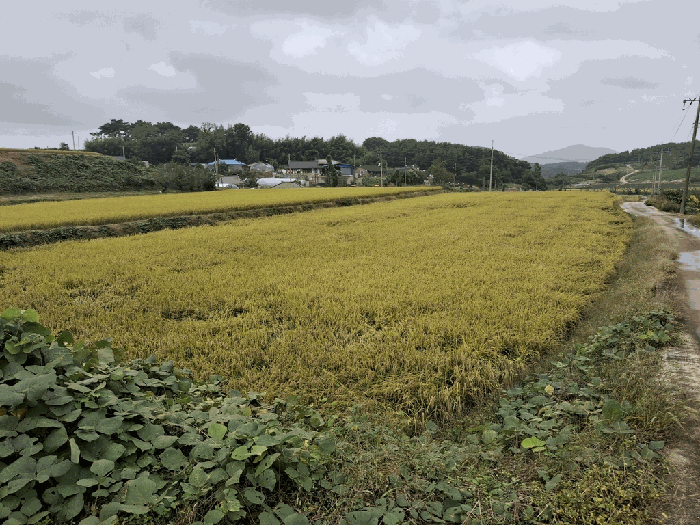 전북특별자치도 고창군 상하면 송곡리 1220 외 1 필지