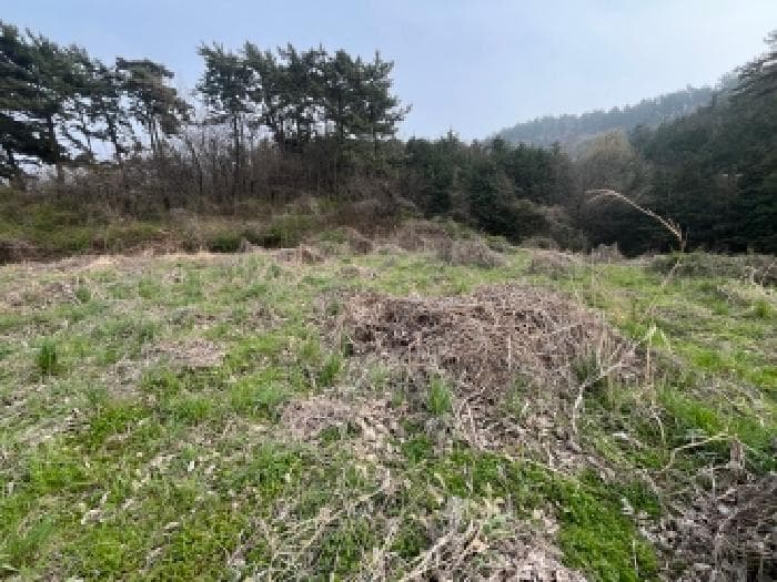 전북특별자치도 고창군 부안면 선운리 698
