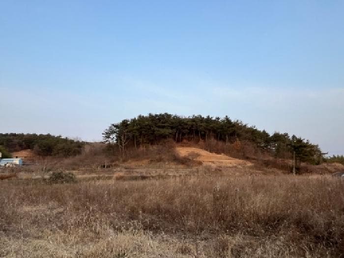 전북특별자치도 정읍시 덕천면 달천리 산29