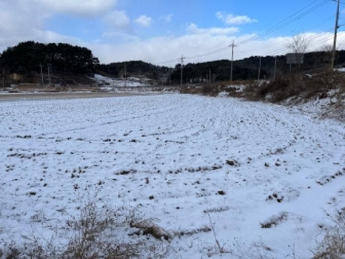 전북특별자치도 부안군 하서면 장신리 2287-3