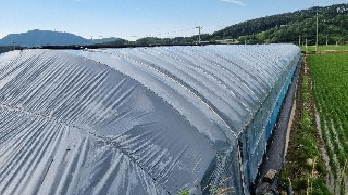 전북특별자치도 남원시 운봉읍 북천리 491