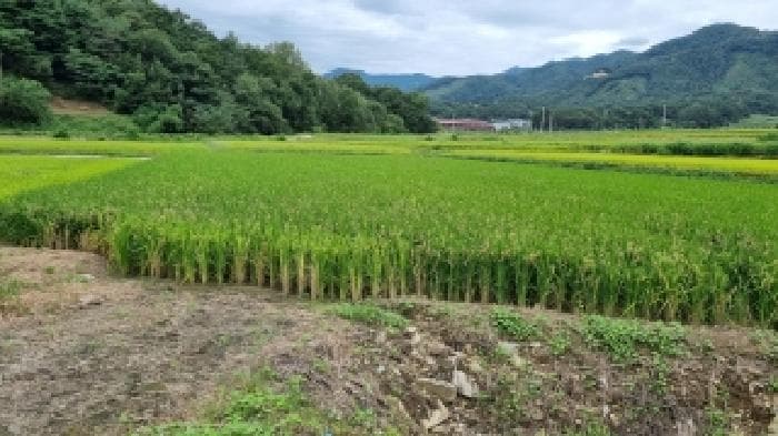 전북특별자치도 장수군 산서면 마하리 457