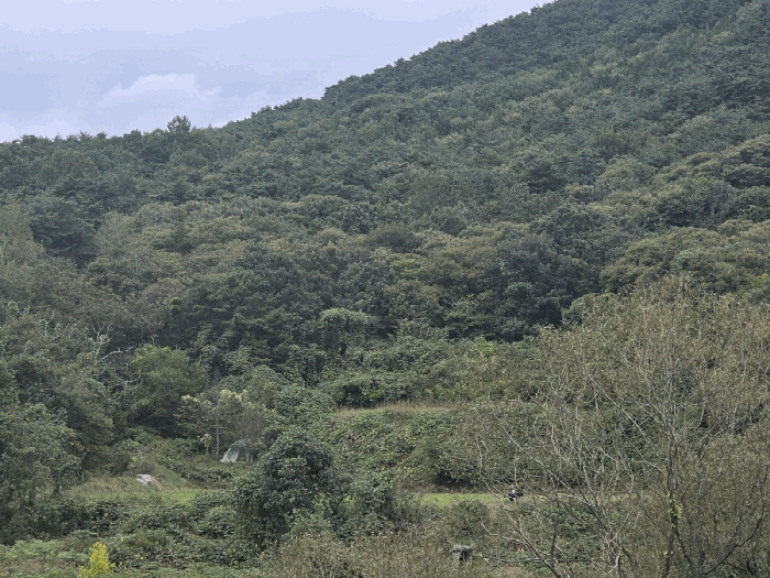 전북특별자치도 순창군 풍산면 죽곡리 500-2