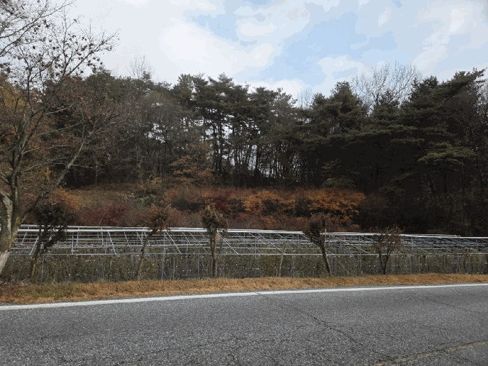 전북특별자치도 순창군 구림면 자양리 산112