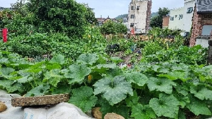 전북특별자치도 남원시 쌍교동 31