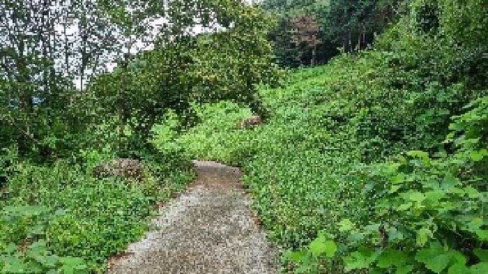 전북특별자치도 순창군 적성면 석산리 279-2