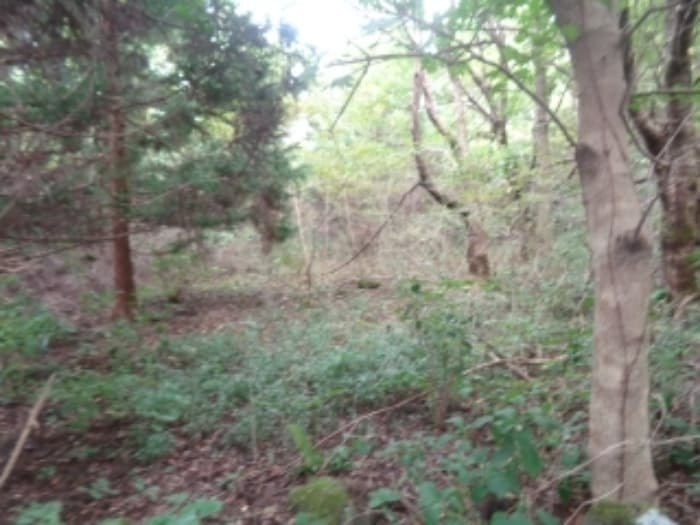 제주특별자치도 제주시 애월읍 봉성리 산19 외 2 필지