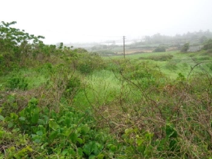 제주특별자치도 제주시 한림읍 상대리 3588-6