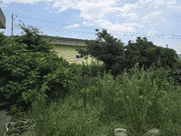 제주특별자치도 제주시 구좌읍 평대리 742-3 외 1 필지