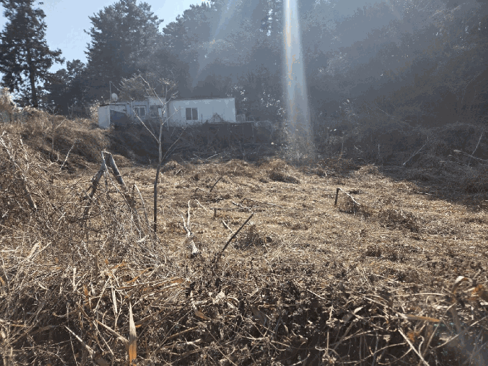 제주특별자치도 제주시 봉개동 781
