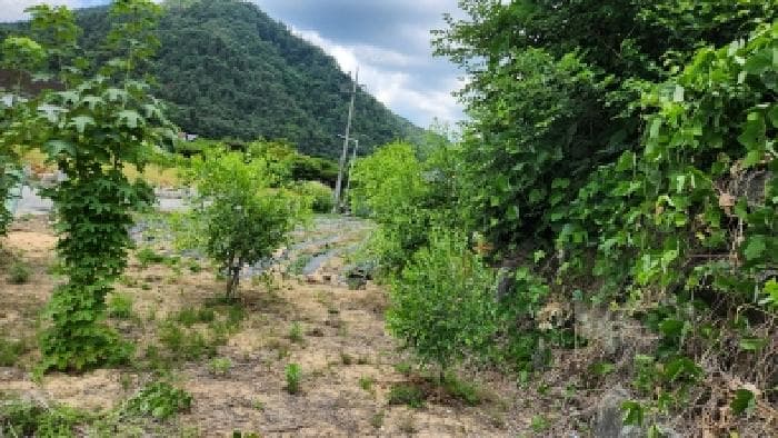 경기도 가평군 상면 덕현리 349-5 외 1 필지